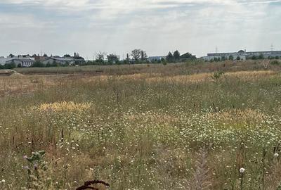 Theodor Pallady Theodor Pallady - 2