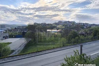 Casa duplex, o unitate locativa, 4 camere, 200 m.p., Dambu Rotund/Calea Baciului - 8