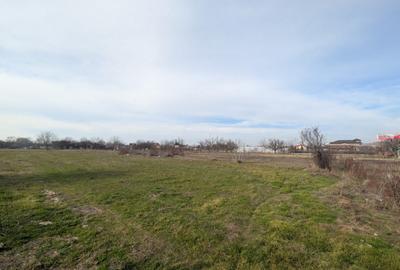 Teren intravilan 6832 mp cu deschidere la ?oseaua Alexa - 1