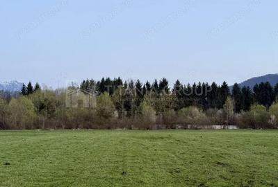 Teren de 7838 mp, în Zărnești - 7