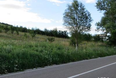 Teren de 3600 mp, în Gârcina - 4