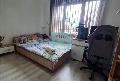 Apartament cu 3 camere decomandat în Craiter - 7