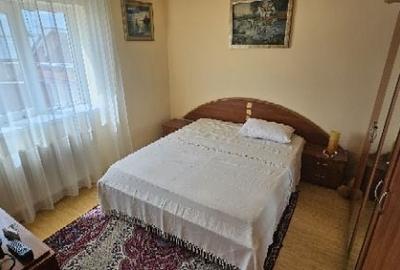 Ciopani vila 5 camere teren 4000 mp - 29