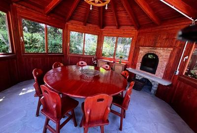 Ocazie unică! Casă de vânzare în stațiunea Covasna! - 20