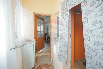 De vanzare casa cu 3 camere si teren 3205 mp in Sannicolau Roman - 11