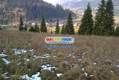 Teren pentru Complex Turistic - 12 730 mp  - Vatra Dornei - 5