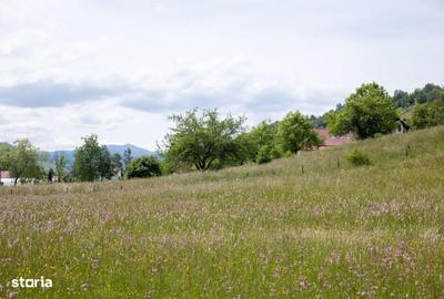 Teren de 1050 mp, în Moieciu - 5