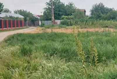 Teren de 1192 mp, în Dumitrana - 1
