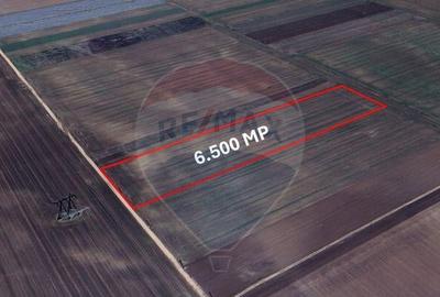 Teren extravilan de vanzare 6.500 mp, Harman, Bra?ov - 1