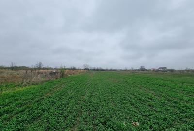 TEREN CASA/ MOGOSESTI GIURGIU - 2