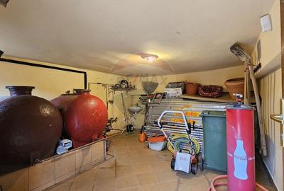 Casă cu 6 camere cu Teren 10331 Mp în Sohodol - 28