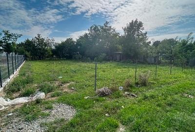 Teren de Vânzare în orașul Amara - 3