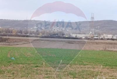 Teren de 2374 mp, în Cheriu