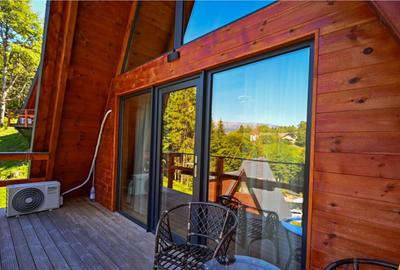 Ansamblu tip A frame, Moieciu de Jos, 2025 - 18