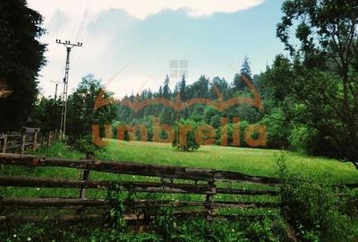 Teren Construcții intravilan de 34201 mp, în Vărșag - 18