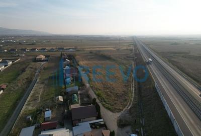 Teren intravilan 4.832 de vanzare Letea Veche - 1