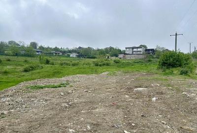 Teren de 5100 mp, în Aroneanu - 7