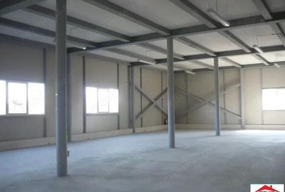 Hala de productie depozitare Satu Mare 1880 mp - 10