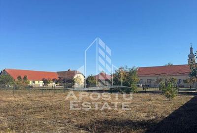 Casă cu 3 camere cu Teren 1608 Mp în Checea - 1