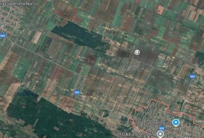 Teren extravilan, loc Densa, Jud Dolj - 3
