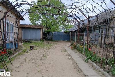 Casă cu 5 camere cu Teren 8481 Mp în Celaru - 4