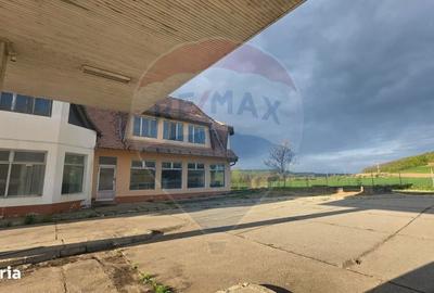 Spațiu comercial, de 400 mp, în Dupuș - 11