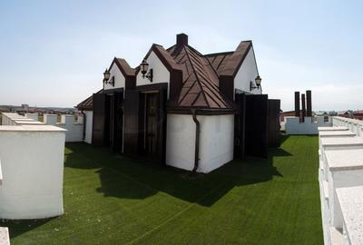 REV2000904 Vila spectaculoasa - zona Cernica - 8