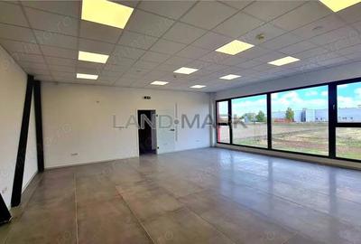 Hala noua de inchiriat , zona Lugojului - Aeroport Tmisoara - 3