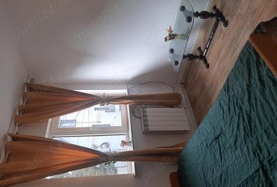 Garsonieră decomandată în Andronache - 10