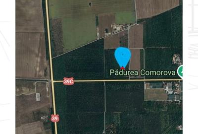 Teren Construcții intravilan de 600 mp, în Est - 11