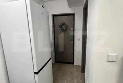 Garsonieră semidecomandată, mobilată în Cornitoiu - 6