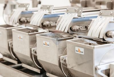 Plantatie de afine la cele mai inalte standarde, de vanzare! - 12