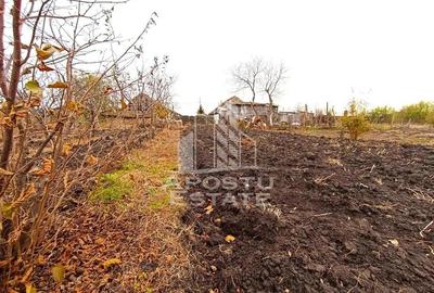 Teren 1000mp Cu Utilitati Dudesti Noi - 1