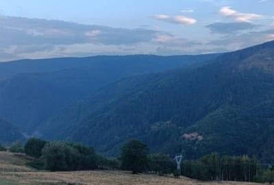 Vand teren  Transalpina ( Tau Bistra,aprox.2 km de " Popasul Regelui") - 5