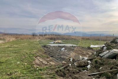 Teren Construcții intravilan de 700 mp, în Bod - 3