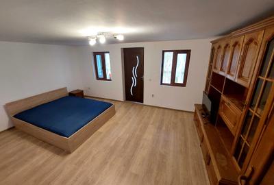 Garsonieră semidecomandată în Exterior Vest - 7