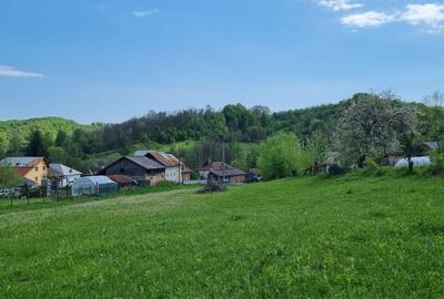 Spațiu comercial, în Ștubeie Tisa - 1