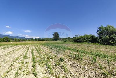 DE VANZARE Teren intravilan ?i?e?ti, Maramure? (... - 12