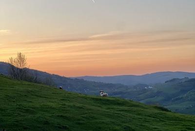 Spațiu comercial, în Rogojel - 2