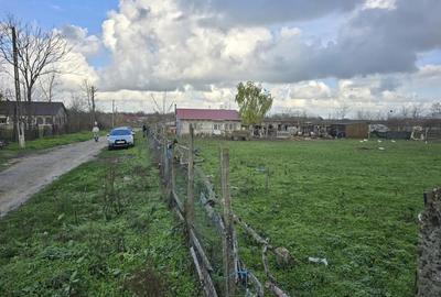 Teren de 2500 mp, în Bărăganu - 2