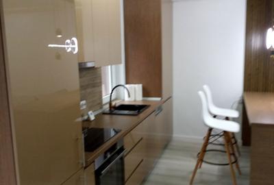 Apartament cu 2 camere semidecomandat în Dosu Bricii