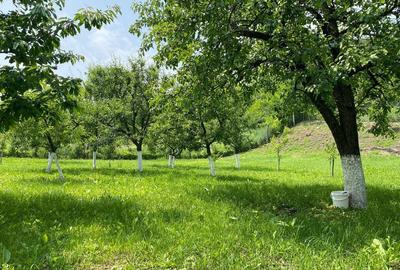 Teren de 2000 mp, în Aiton - 3