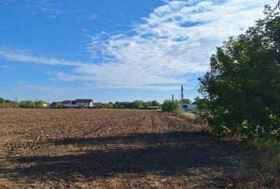 Snagov- Ciofliceni, loturi de casa intre 504-670mp, ?erba - 2