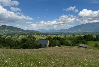 Teren inconjurat de natura de vanzare in Pestera - 2
