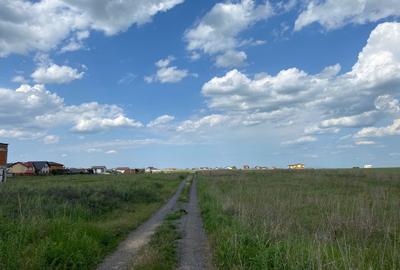 Teren Construcții intravilan de 376 mp, în Berceni - 2