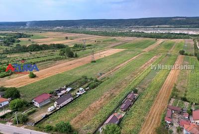 AZURA Imobiliare - Teren Budeasa Galasesti Calotesti - 7