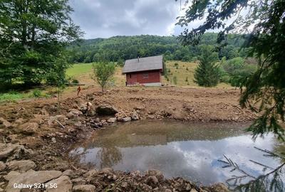 Teren de 8000 mp, în Bologa - 1