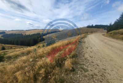 Teren Construcții intravilan de 1000 mp, în Central - 5