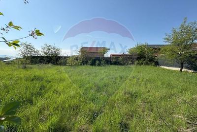 Teren 500 mp | Harman - zona Fish for Life| PUZ existent Teren 500 mp | Harman - zona Fish for Life| PUZ existent - 6