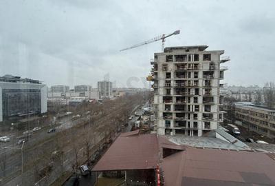 Spațiu comercial, de 366 mp, în Theodor Pallady - 8